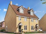 Thumbnail to rent in "The Braxton - Plot 50" at Moonflower Place, Biggleswade