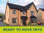 Thumbnail to rent in "The Birch" at Cotterstock Road, Oundle, Peterborough