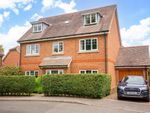 Thumbnail for sale in Beacon Rise, East Grinstead