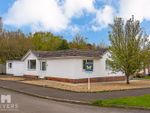 Thumbnail to rent in Forest View Drive, Wimborne
