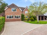 Thumbnail to rent in Springfield Place, Chelmsford, Essex