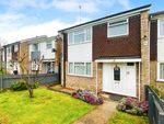 Thumbnail for sale in Park Rise, Leicester