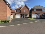 Thumbnail to rent in Gibside Way, Spennymoor, Durham