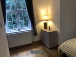 Thumbnail to rent in Lawn Lane, Chelmsford
