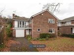 Thumbnail to rent in Western Avenue, Woodley, Reading