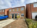 Thumbnail for sale in Baneberry Drive, Hillfield Meadows, Sunderland, Durham