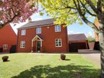 Thumbnail to rent in The Anchorage, Hempsted, Gloucester