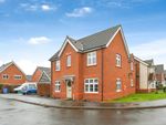 Thumbnail to rent in Reed Drive, Stafford