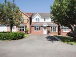 Thumbnail for sale in Poplar Grove, Coventry