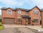 Thumbnail for sale in Tithebarn Grove, Wavertree, Liverpool