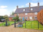 Thumbnail for sale in Stane Street, Ockley, Dorking, Surrey