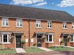 Thumbnail to rent in "The Oakfield" at Cogent Crescent, Newbury