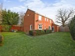 Thumbnail for sale in Tinwell Close, Lower Earley, Reading