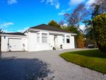 Thumbnail to rent in Mount Cameron Drive South, St Leonards, East Kilbride