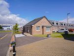 Thumbnail for sale in Rootes Place, Paisley