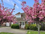 Thumbnail for sale in Harden Road, Lydd