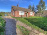 Thumbnail for sale in Hares Lane, Westhall, Halesworth