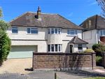 Thumbnail for sale in Willingdon Road, Eastbourne, East Sussex