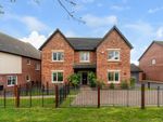 Thumbnail to rent in Buttercup Drive Daventry, Northamptonshire