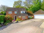 Thumbnail for sale in Barnfield Close, Hastings