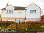 Thumbnail for sale in North End, Little Yeldham, Halstead, Essex