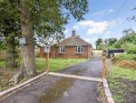 Thumbnail for sale in Crook Hill, Braishfield, Romsey, Hampshire