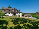 Thumbnail to rent in Bunch Lane, Haslemere, Surrey