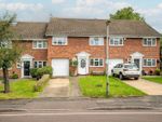 Thumbnail for sale in Camlet Way, St. Albans, Hertfordshire