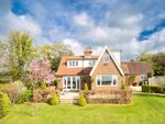 Thumbnail for sale in Blackdown Lane, Punnetts Town, East Sussex