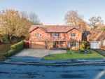 Thumbnail to rent in Willowbank Road, Knowle, Solihull