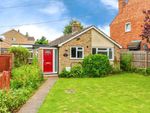 Thumbnail for sale in Wellingborough Road, Rushden