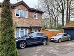 Thumbnail to rent in The Oaks, Heathfield, East Sussex