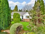 Thumbnail to rent in Hillhouse Drive, Reigate, Surrey