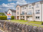 Thumbnail to rent in Stance Place, Larbert