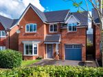 Thumbnail to rent in Broadfern, Standish, Wigan