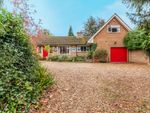 Thumbnail for sale in Thorpe Road, Longthorpe