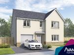 Thumbnail to rent in "The Overbury" at Sycamore Drive, Penicuik