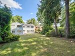 Thumbnail for sale in The Ridings, Frimley, Surrey