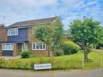 Thumbnail to rent in Stafford Close, Kirby Cross, Frinton-On-Sea