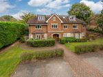 Thumbnail to rent in Park Lane East, Reigate, Surrey