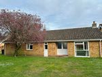 Thumbnail to rent in The Pines, Holywell Row, Bury St. Edmunds