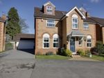 Thumbnail to rent in George Lane, Walkington, Beverley