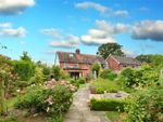 Thumbnail for sale in Hampstead Norreys Road, Hermitage, Thatcham, Berkshire