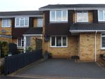 Thumbnail for sale in Newton Way, Tongham, Surrey