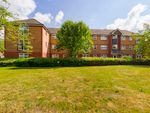 Thumbnail to rent in Blackthorn Close, Cambridge