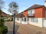 Thumbnail to rent in Pinewoods, Bexhill-On-Sea