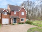 Thumbnail to rent in Water Meadow Close, Elstead, Godalming, Surrey