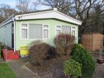 Thumbnail to rent in Shalloak Road, Broad Oak, Canterbury