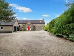 Thumbnail for sale in 44A Carrowdore Road, Greyabbey. Newtownards, County Down
