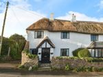 Thumbnail to rent in Hillhead Cottages, Hillhead, Colyton, Devon